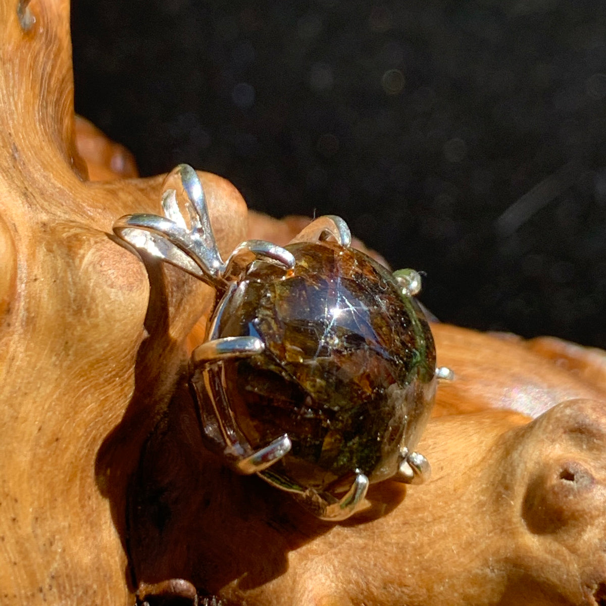 sterling silver sericho pallasite meteorite basket pendant sitting on driftwood for display