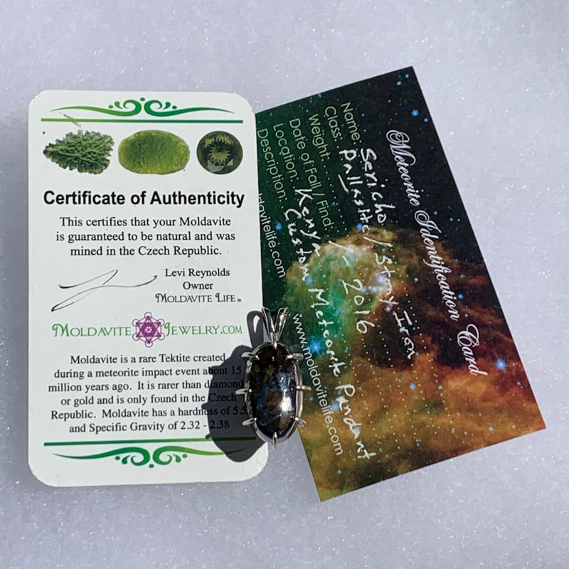sterling silver sericho pallasite meteorite and raw moldavite tektite basket pendant with a moldavite life certificate of authenticity and meteorite identification card