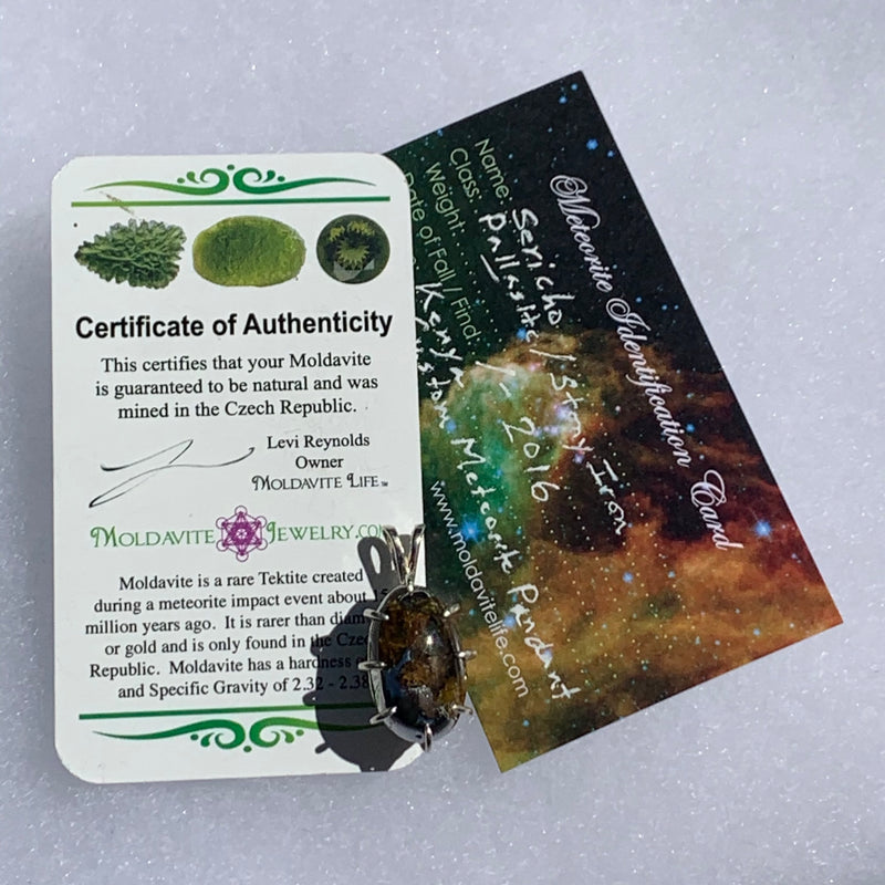 sterling silver sericho pallasite meteorite and raw moldavite tektite basket pendant with a moldavite life certificate of authenticity and meteorite identification card
