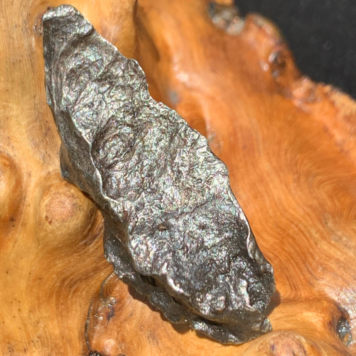 silver sikhote alin meteorite sitting on driftwood for display
