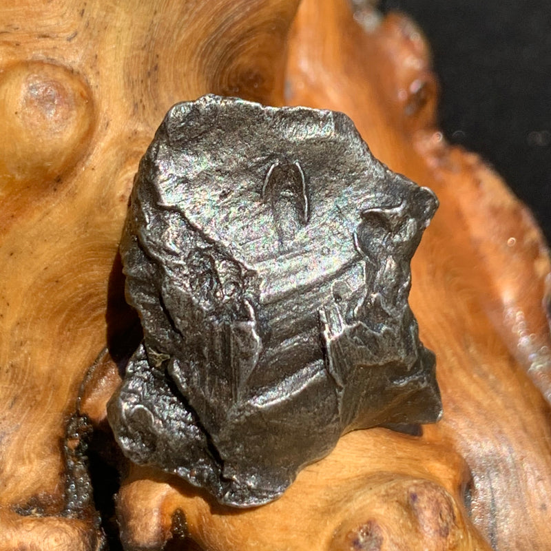 silver sikhote alin meteorite sitting on driftwood for display