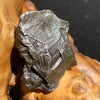 silver sikhote alin meteorite sitting on driftwood for display