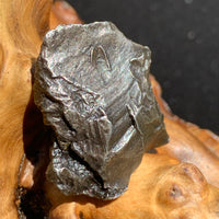 silver sikhote alin meteorite sitting on driftwood for display