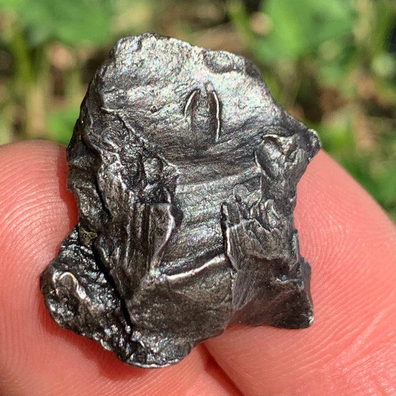 silver sikhote alin meteorite held in hand to show details