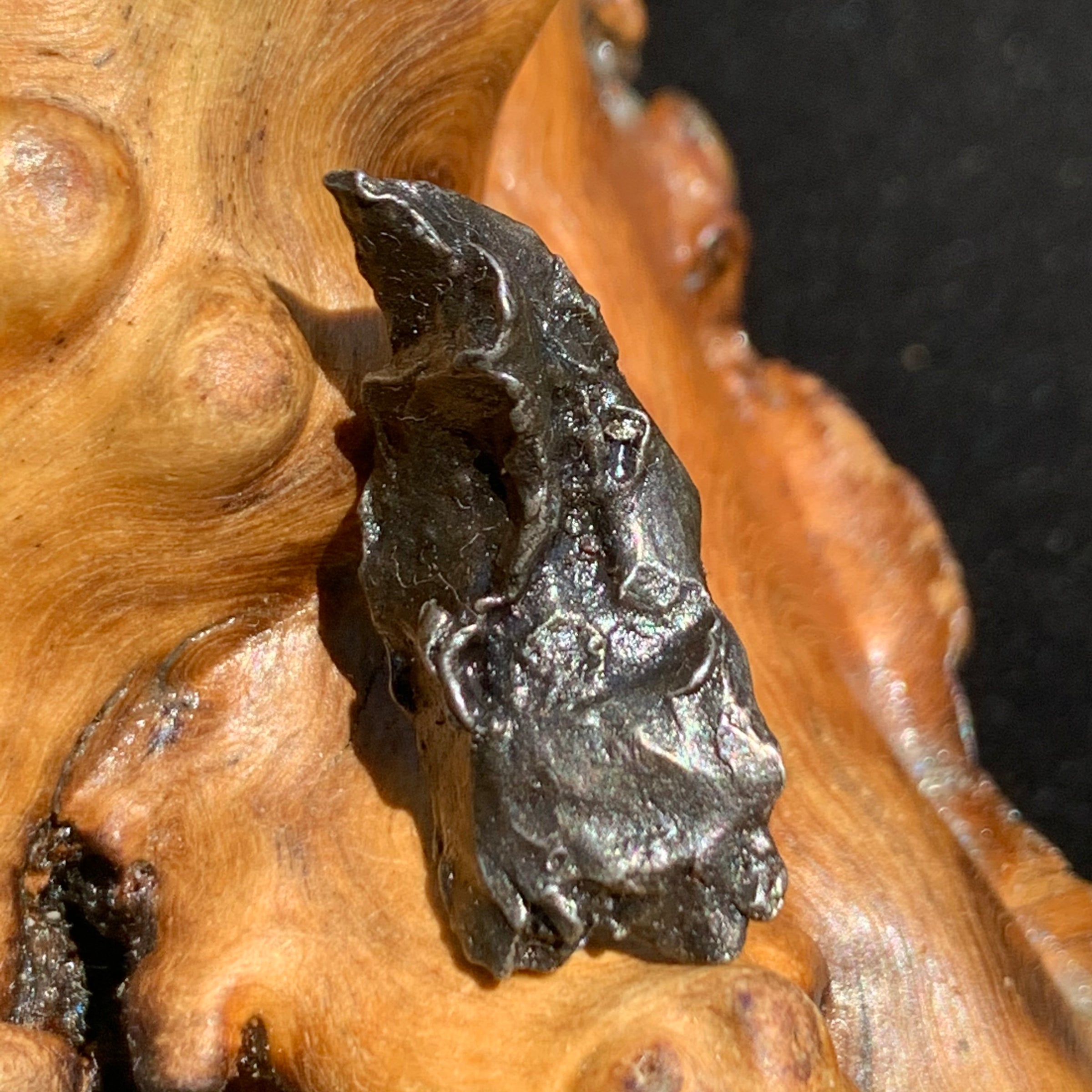 silver sikhote alin meteorite sitting on driftwood for display