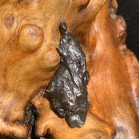 silver sikhote alin meteorite sitting on driftwood for display