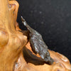 silver sikhote alin meteorite sitting on driftwood for display