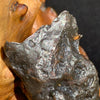 close up view of silver sikhote alin meteorite sitting on driftwood for display