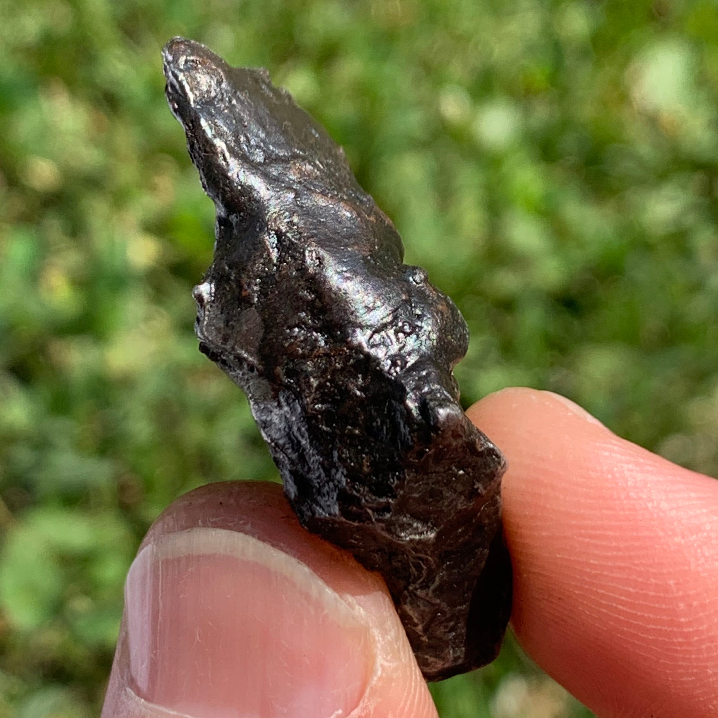 silver sikhote alin meteorite held in hand to show details