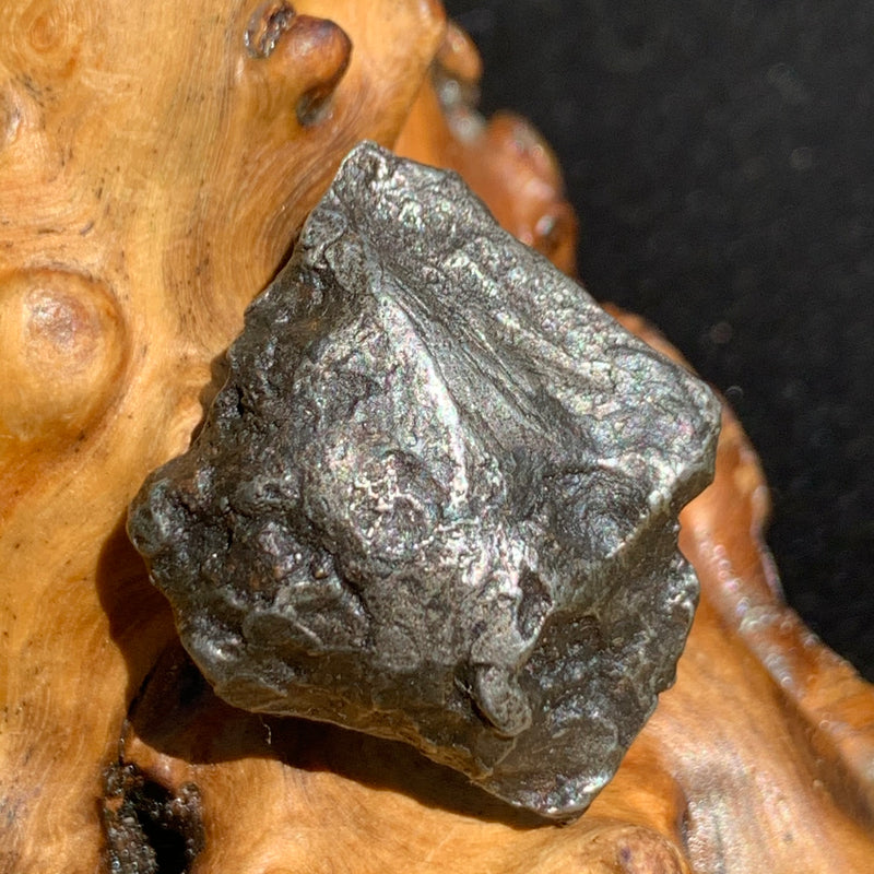 silver sikhote alin meteorite sitting on driftwood for display