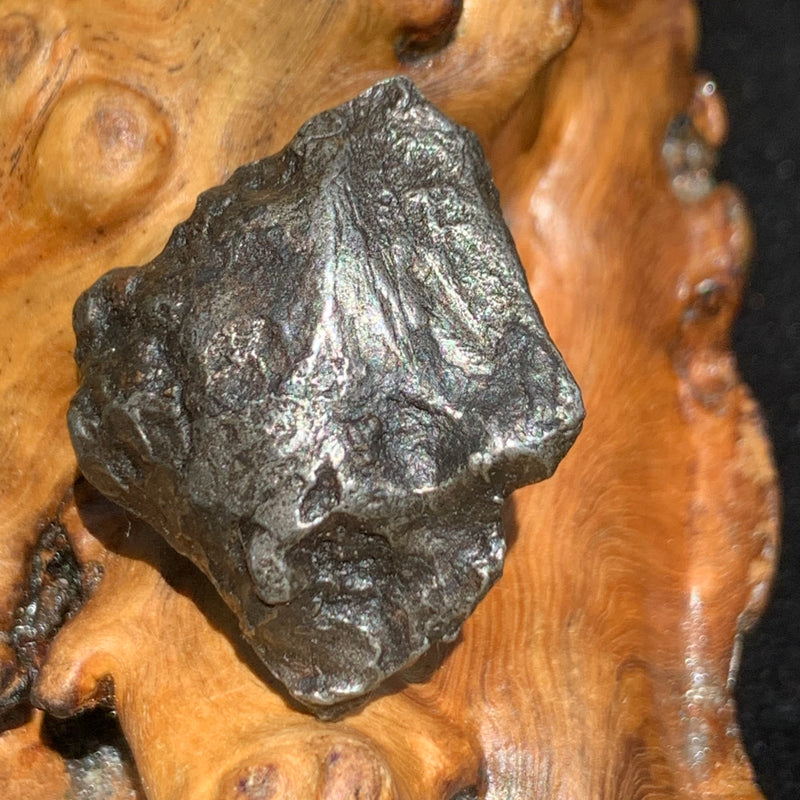 silver sikhote alin meteorite sitting on driftwood for display