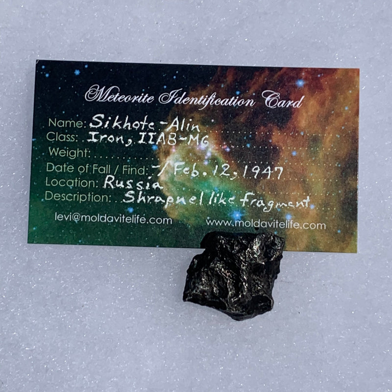 silver sikhote alin meteorite with a moldavite life meteorite identification card