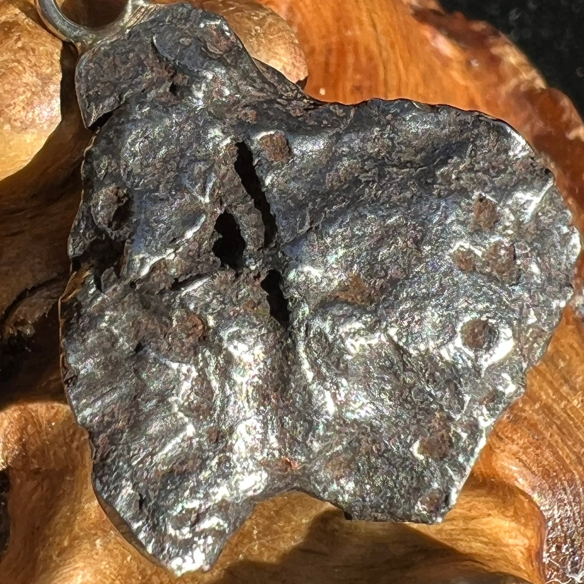 Sikhote Alin Meteorite Pendant Sterling Silver 19731-Moldavite Life