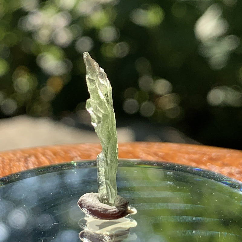 Small Besednice Moldavite Genuine Certified 0.5 gram-Moldavite Life