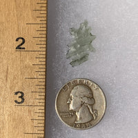 Small Besednice Moldavite Genuine Certified 0.5 gram-Moldavite Life