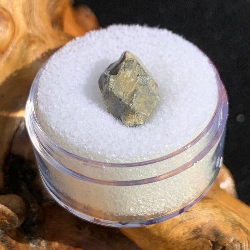 tatahouine meteorite in gem jar sitting on driftwood for display