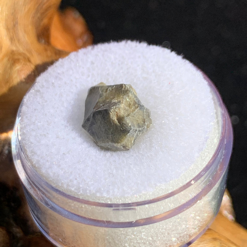 tatahouine meteorite in gem jar sitting on driftwood for display