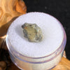 tatahouine meteorite in gem jar sitting on driftwood for display