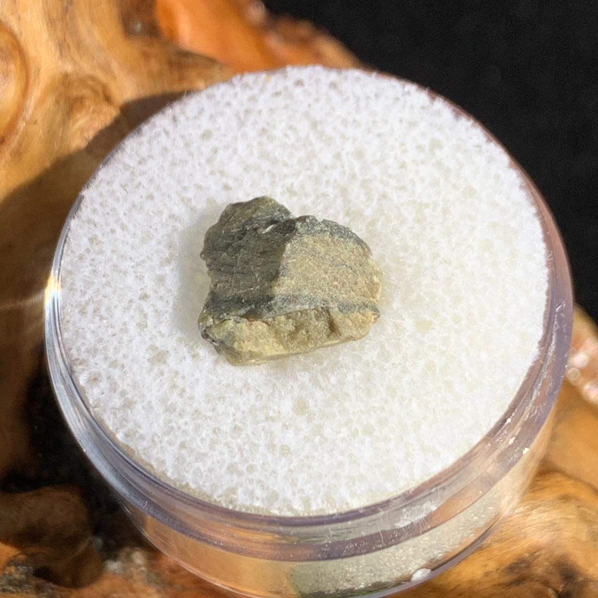 tatahouine meteorite in gem jar sitting on driftwood for display