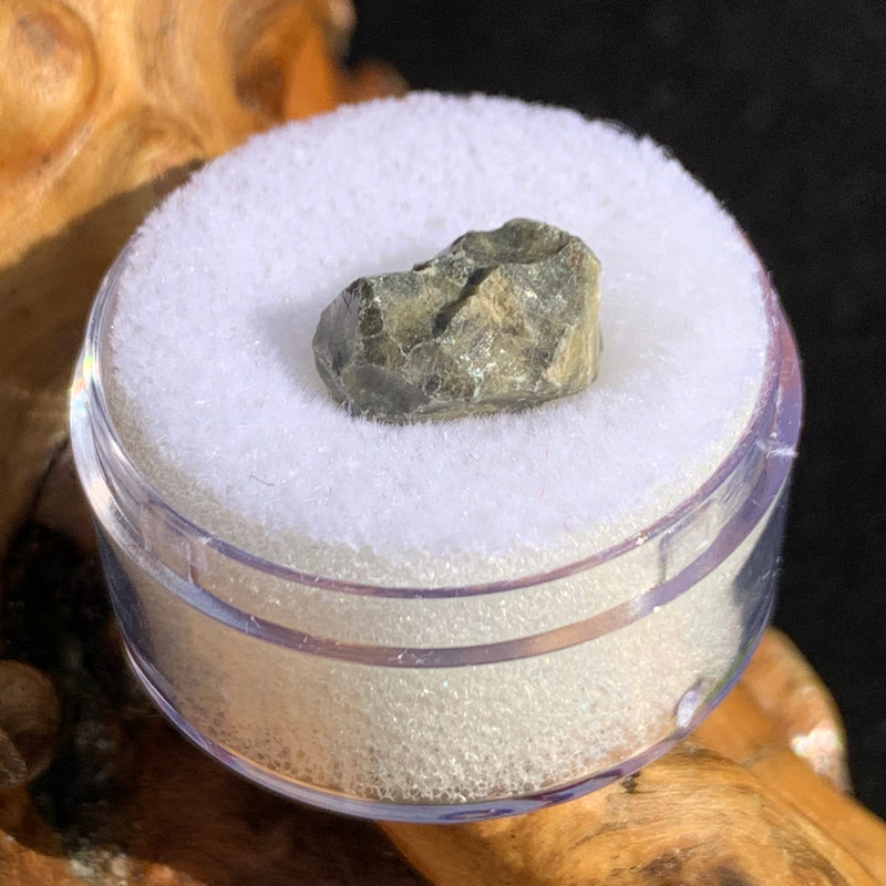 tatahouine meteorite in gem jar sitting on driftwood for display