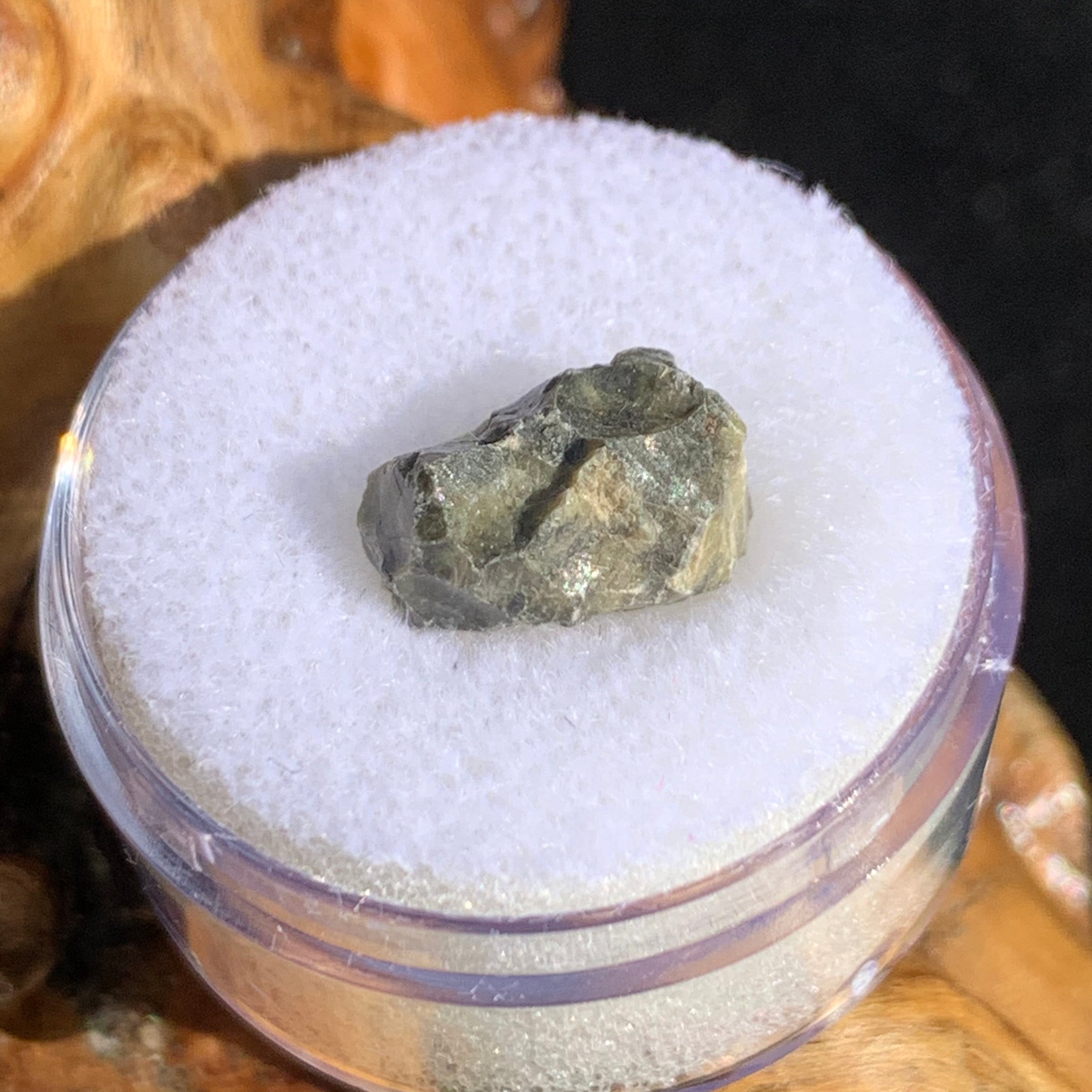 tatahouine meteorite in gem jar sitting on driftwood for display