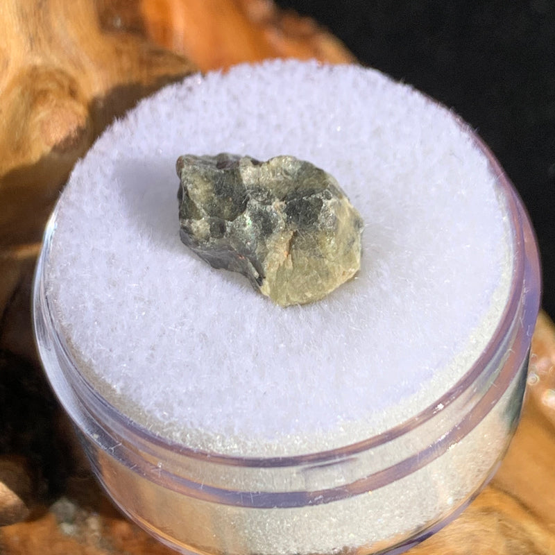 tatahouine meteorite in gem jar sitting on driftwood for display