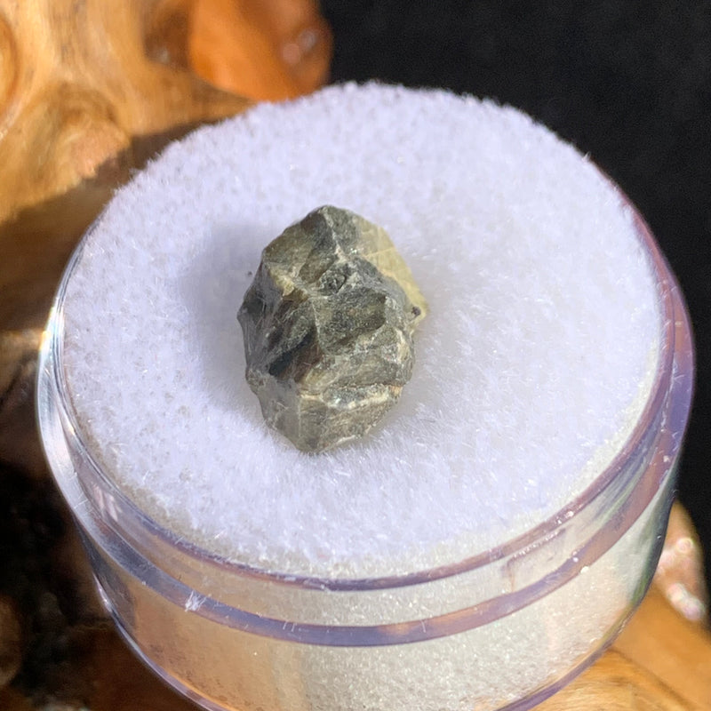 tatahouine meteorite in gem jar sitting on driftwood for display