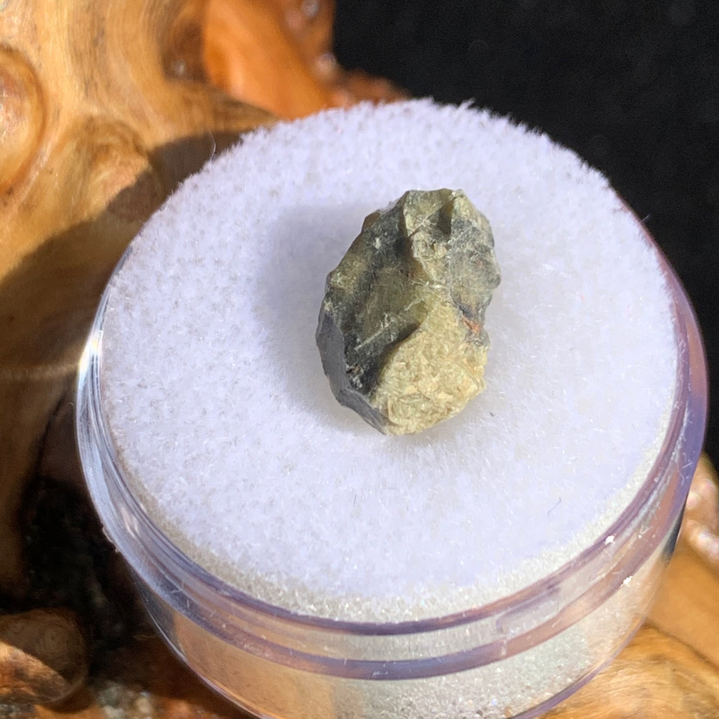 tatahouine meteorite in gem jar sitting on driftwood for display