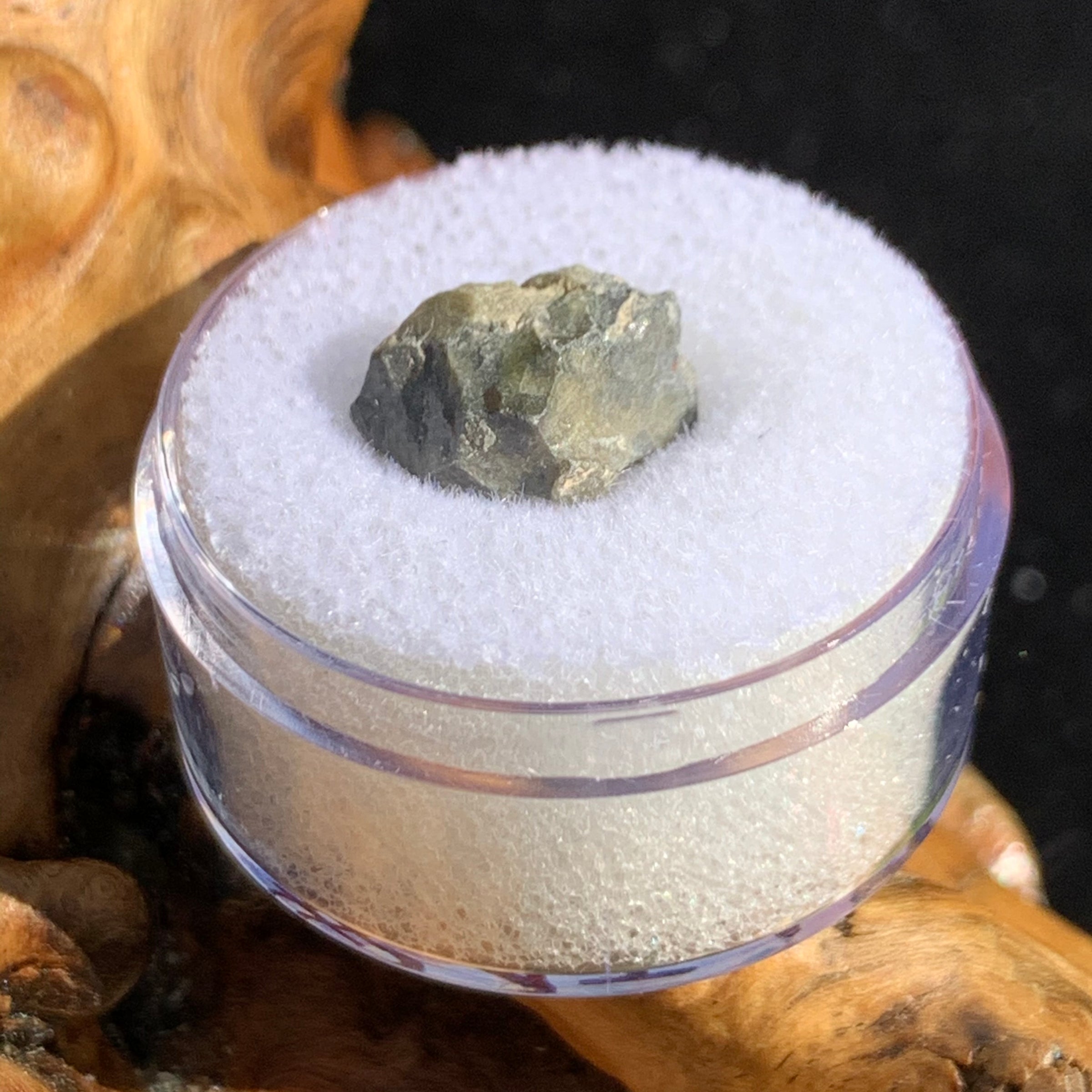 tatahouine meteorite in gem jar sitting on driftwood for display