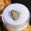 tatahouine meteorite in gem jar sitting on driftwood for display