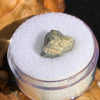 tatahouine meteorite in gem jar sitting on driftwood for display