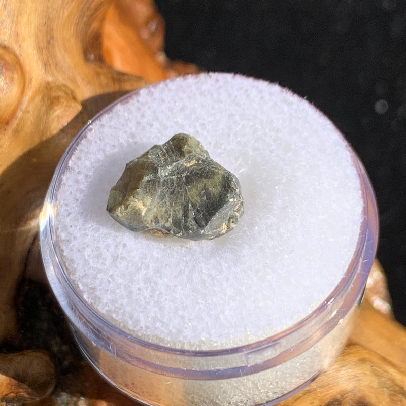 tatahouine meteorite in gem jar sitting on driftwood for display