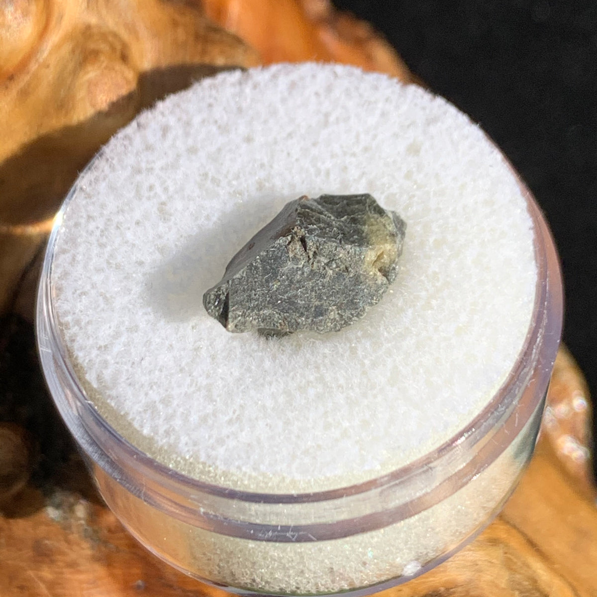 tatahouine meteorite in gem jar sitting on driftwood for display