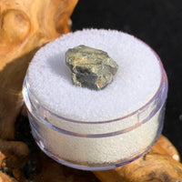 tatahouine meteorite in gem jar sitting on driftwood for display