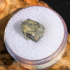 tatahouine meteorite in gem jar sitting on driftwood for display