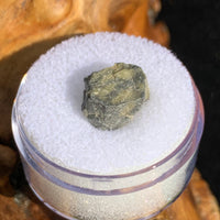 tatahouine meteorite in gem jar sitting on driftwood for display