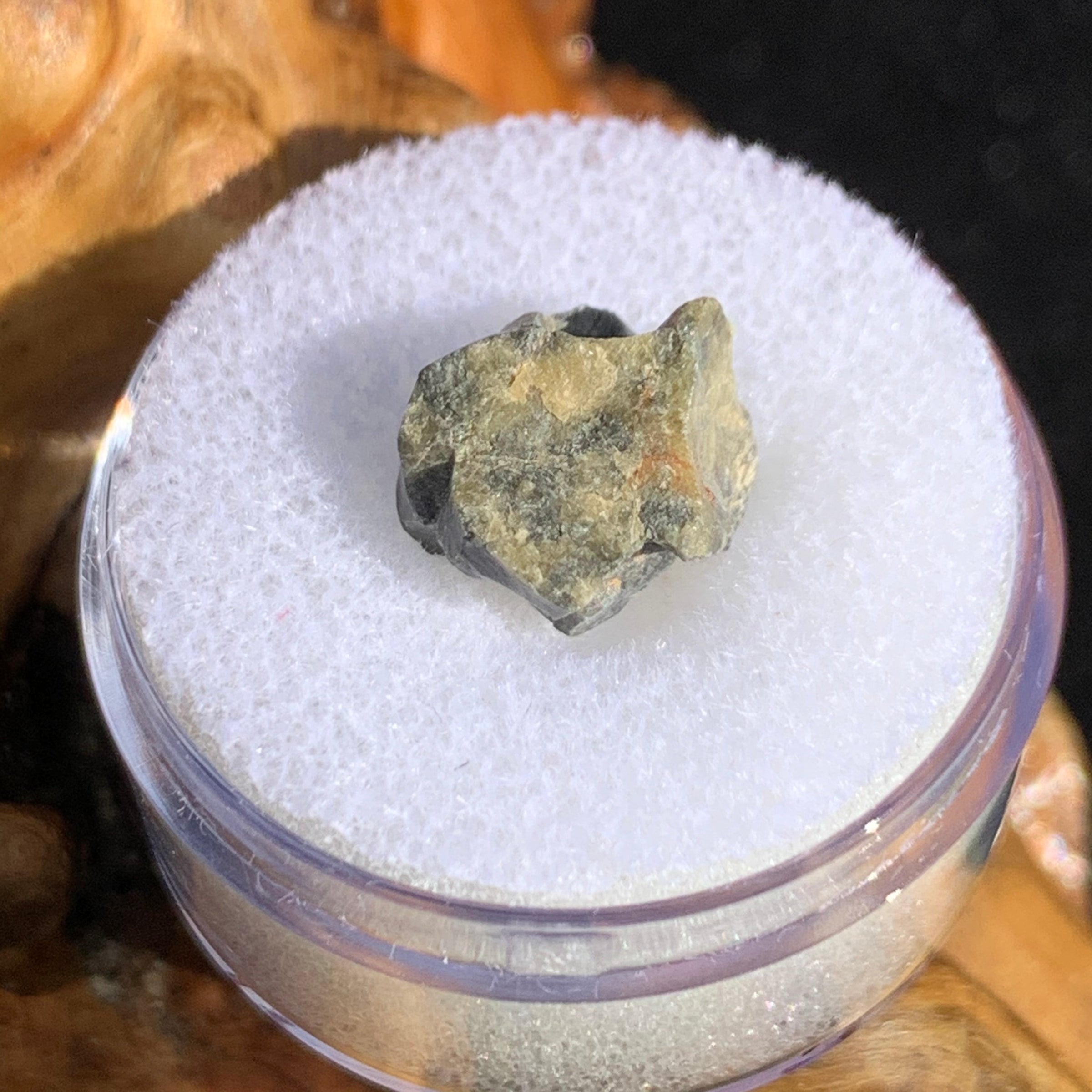 tatahouine meteorite in gem jar sitting on driftwood for display