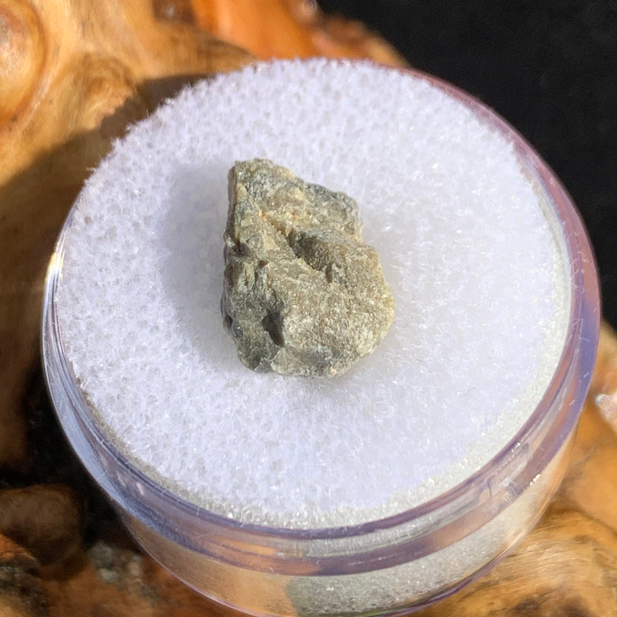 tatahouine meteorite in gem jar sitting on driftwood for display