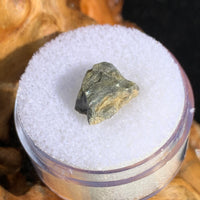 tatahouine meteorite in gem jar sitting on driftwood for display