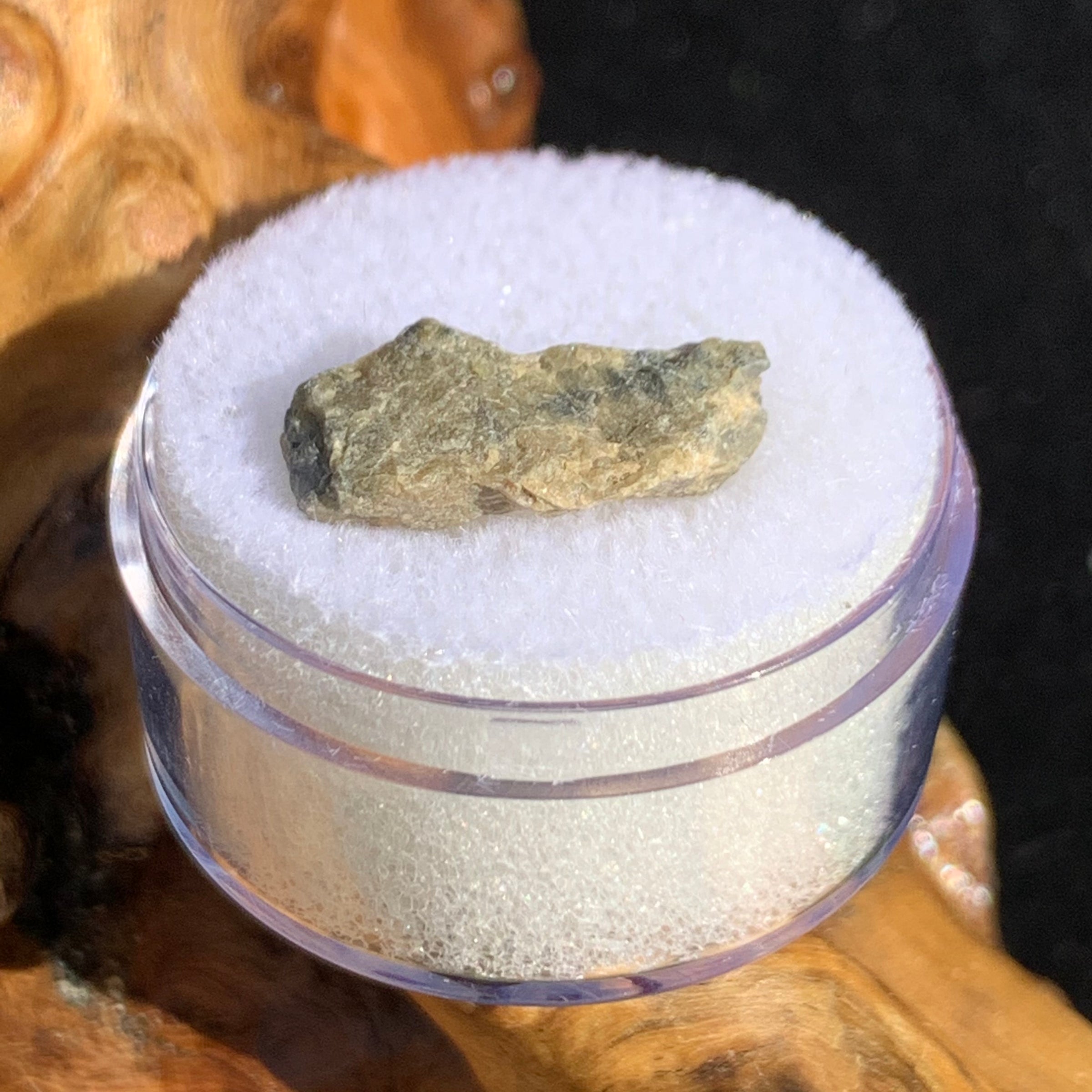 tatahouine meteorite in gem jar sitting on driftwood for display