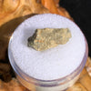 tatahouine meteorite in gem jar sitting on driftwood for display