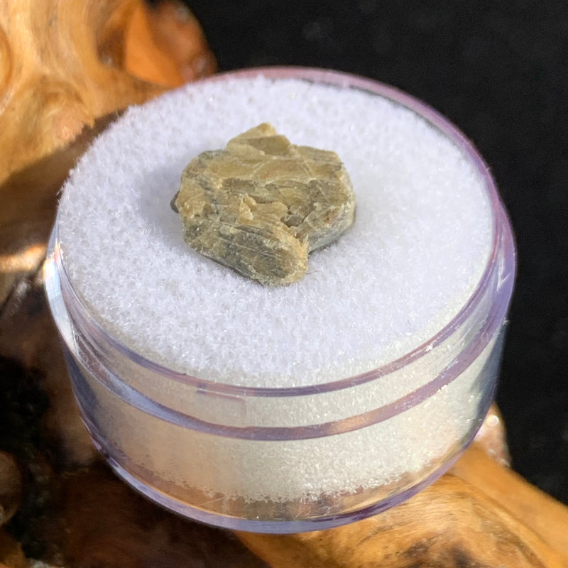 tatahouine meteorite in gem jar sitting on driftwood for display