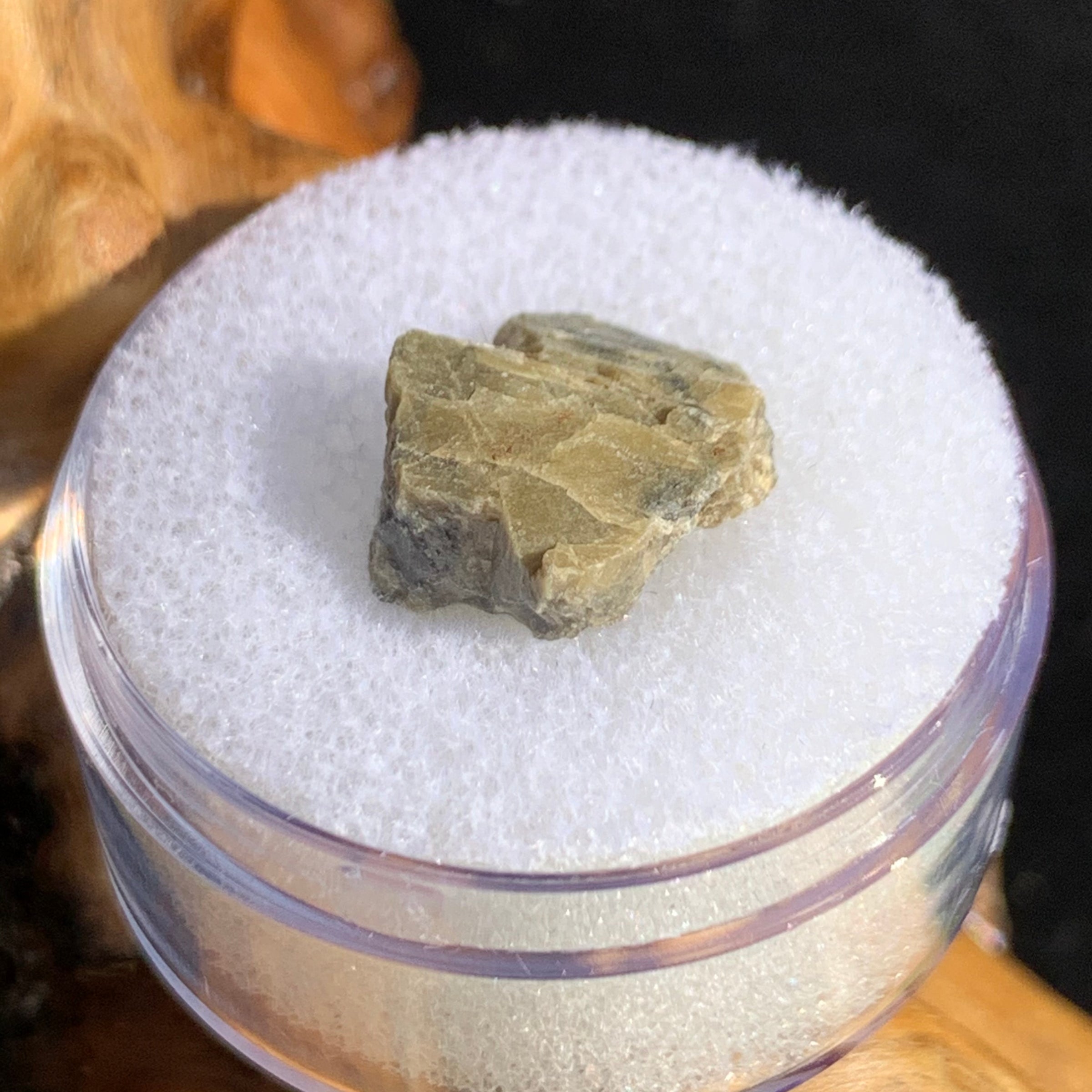 tatahouine meteorite in gem jar sitting on driftwood for display