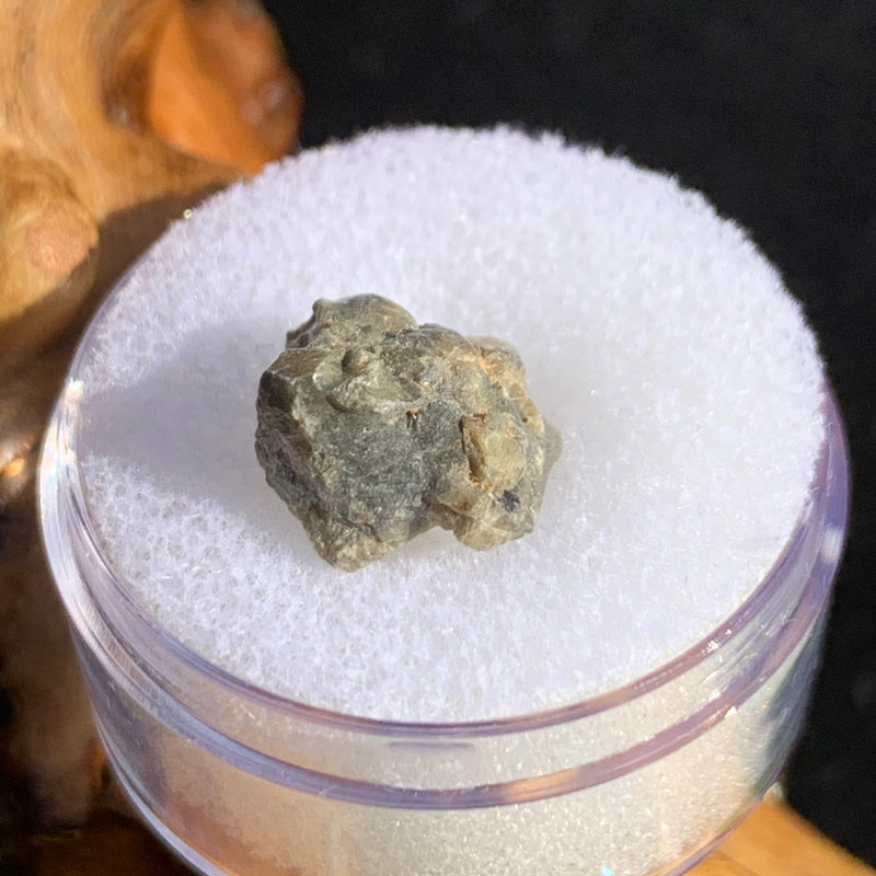 tatahouine meteorite in gem jar sitting on driftwood for display