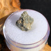 tatahouine meteorite in gem jar sitting on driftwood for display