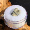 tatahouine meteorite in gem jar sitting on driftwood for display