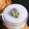 tatahouine meteorite in gem jar sitting on driftwood for display