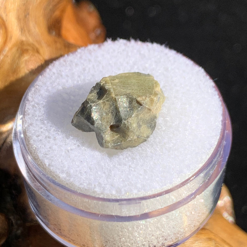 tatahouine meteorite in gem jar sitting on driftwood for display