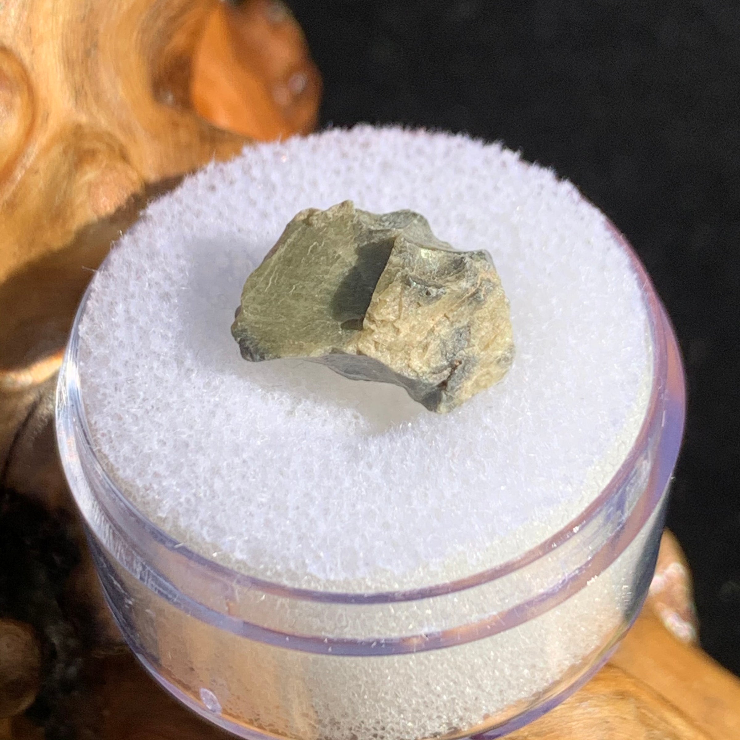 tatahouine meteorite in gem jar sitting on driftwood for display