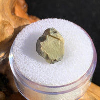 tatahouine meteorite in gem jar sitting on driftwood for display